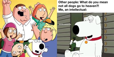 32 Family guy memes ideas in 2024 